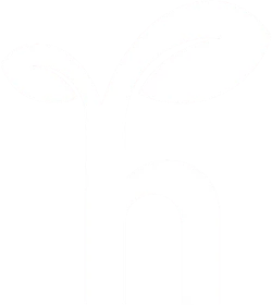 case_study_logo_light